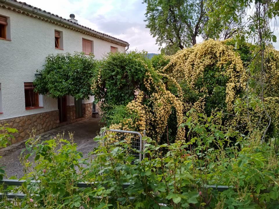 Villa Mesoncillo NEO Hornos Exterior foto