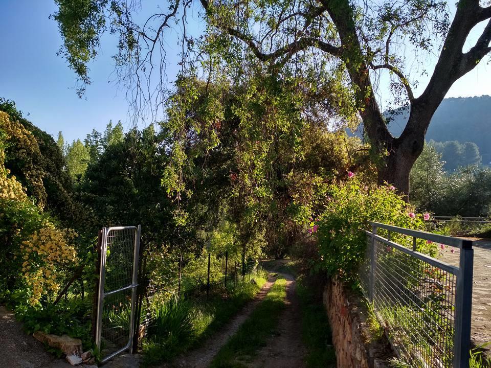 Villa Mesoncillo NEO Hornos Exterior foto